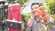 直播带货方兴未艾 乡村振兴动力十足