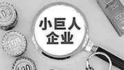 让“专精特新”小步快跑