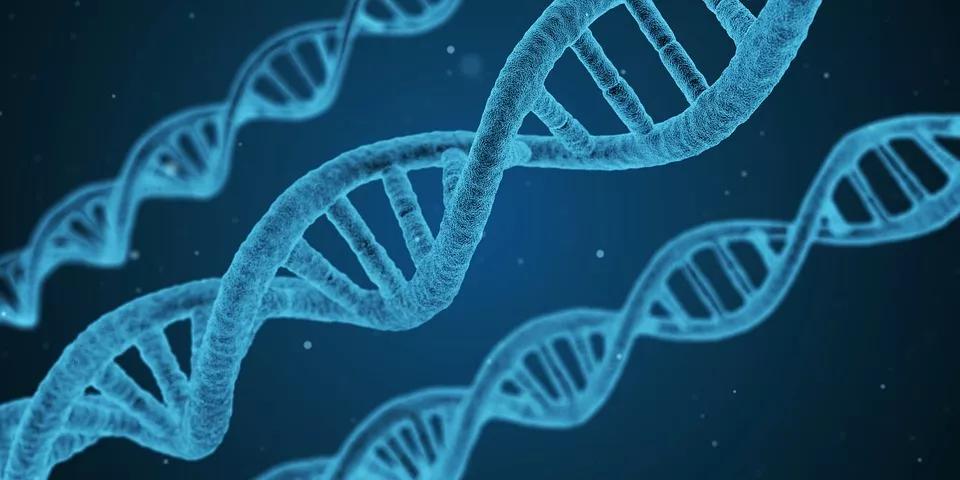 RNA分子进化的首个经验证据出现