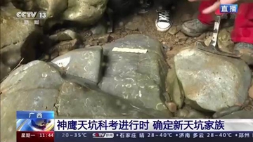 “神鹰天坑”里发现2亿年前海洋生物化石