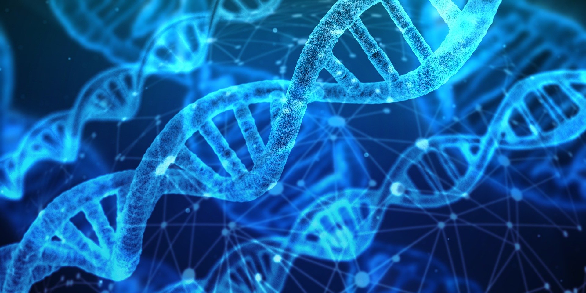 分子马达实现“DNA折纸”里程碑