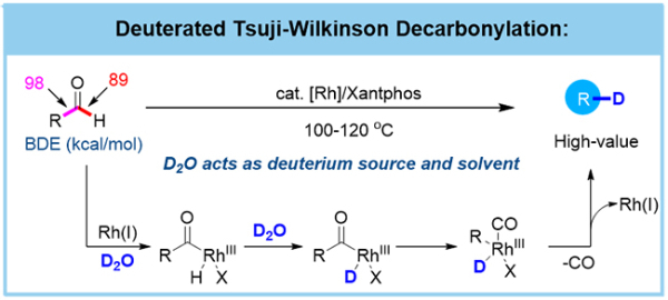 大连化物所提出醛的Tsuji-Wilkinson脱羰氘代反应策略