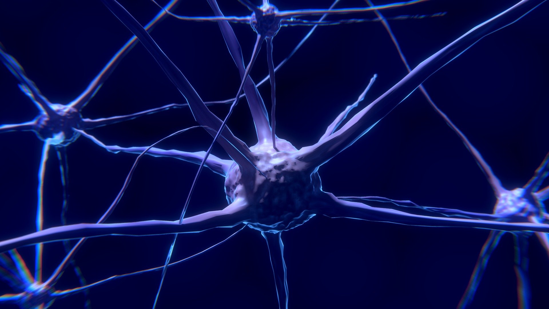 塑造着丝粒分布的“世纪之谜”解开 将使创造抗压生物成为可能