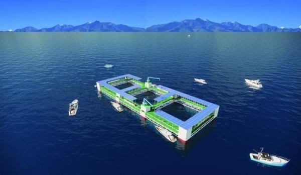 深远海养殖平台“海威2号”开工建造