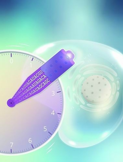 科学家成功实现活细胞转录组测序