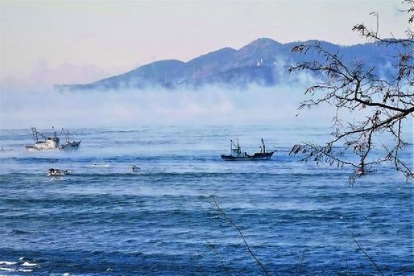 海上缘何“仙雾”飘