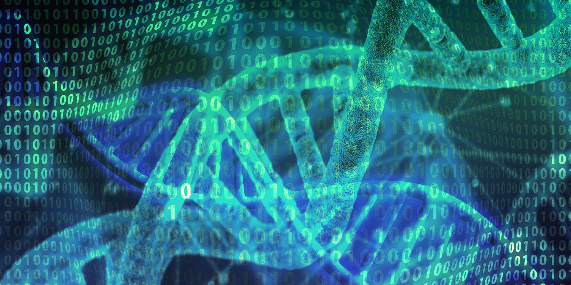 脓毒症免疫抑制发病机制有了系统解读